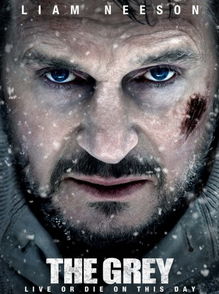 Liam Neeson, în fruntea box-office-ului american cu The Grey
