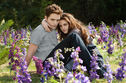 Articol Kristen Stewart şi Robert Pattinson şi-au reluat oficial relaţia