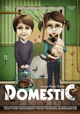 Iată afişul oficial al filmului Domestic!
