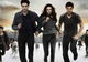 Twilight Saga: Breaking Dawn - Part 2 ia  Zmeura de Aur