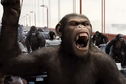 Articol Încep filmările la Dawn of the Planet of the Apes