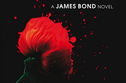 Articol S-a ales romanul ce va sta la baza noului film Bond?