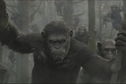Articol Prima imagine cu Cezar din Dawn of the Planet of the Apes