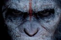 Articol Dawn of the Planet of the Apes, în patru postere: ei sunt liderii temporari ai noii lumi!