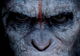 Dawn of the Planet of the Apes, în patru postere: ei sunt liderii temporari ai noii lumi!