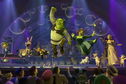 Articol Shrek, pregătit de o nouă aventură