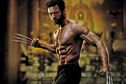 Articol The Wolverine 2, ultima apariţie a lui Hugh Jackman în rolul îndrăgitului supererou?