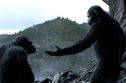 Articol Dawn of the Planet of the Apes, debut copleșitor la box office