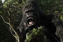 Articol King Kong revine pe marile ecrane în 2016