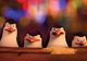 Pinguinii din Madagascar, pentru copii