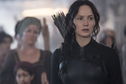 Articol Vom vedea şi alte filme The Hunger Games?