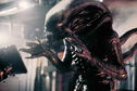 Articol 10 lucruri pe care nu le ştiai despre Alien