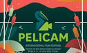 Articol Pelicam 2015: iată filmele din competiţie