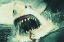 Articol Warner Bros. aduce pe marile ecrane Megaladonul, cel mai mare şi mai puternic prădător marin din istorie
