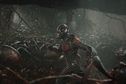 Articol Ant-Man, un personaj incredibil de puternic