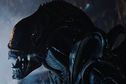 Articol Noul film Alien, amânat de Prometheus 2