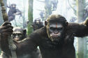 Articol Au început filmările la War for the Planet of the Apes – războiul dintre oameni şi maimuţe atinge punctul culminant