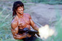 Articol Stallone şi Fox îl aduc pe Rambo pe micul ecran