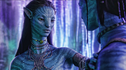 Articol „Avatar 2” –  amânat din nou, dincolo de 2017. Iată adevăratul motiv