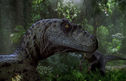 Articol Un trailer inspirat face din Jurassic Park un documentar despre viaţa în natură