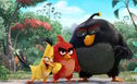 Articol Angry Birds, o animaţie explozivă