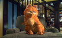 Articol Garfield se întoarce. Producătorul lui Angry Birds Movie speră la un nou hit de box office