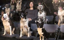 Articol În Statele Unite există un Festival de Film pentru câini. Los Angeles-ul va găzdui primul eveniment de acest fel