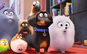 Articol Secret Life of Pets, lansare impresionantă în box office-ul american