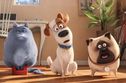 Articol Animația Singuri acasă/The Secret Life of Pets, adorabilă