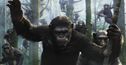 Articol Sinopsis-ul următorului Planet of the Apes arată miza covârşitoare a filmului