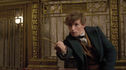 Articol Fantastic Beasts and Where to Find Them devine o serie de cinci filme