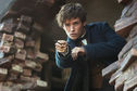 Articol Fantastic Beasts and Where to Find Them a vrăjit box office-ul american