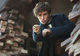 Fantastic Beasts and Where to Find Them a vrăjit box office-ul american