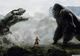 Vom avea un câştigător incontestabil în lupta dintre Godzilla şi Kong