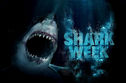 Articol Serialul documentar „Săptămâna rechinilor”, pe Discovery Channel, până pe 29 iulie