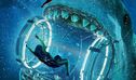Articol The Meg 2 ar putea aduce pe marele ecran mai mulţi monştri marini şi creaturi uimitoare