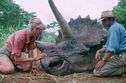 Articol 25 ani de „Jurassic Park”, sărbătoriți în septembrie, la Filmcafe