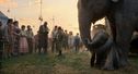 Articol Elefanți și eroi umani în Dumbo