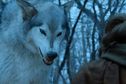 Articol Bătălia de la Winterfell din Game of Thrones ar fi putut include o armată a lupilor uriași