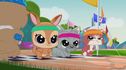 Articol Premieră la Minimax: primul sezon din „Littlest Pet Shop: În lumea noastră” debutează pe 1 iulie
