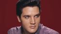Articol Ce actori l-ar putea interpreta pe Elvis Presley în biopic-ul anunțat de Baz Luhrmann