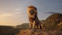 Articol Regele Leu, filmul noii generații