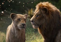 Articol The Lion King/Regele leu: detalii de producție care scriu istorie