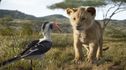 Articol Disney nu a inclus The Lion King pe lista celor 32 de animații propuse în campania de promovare pentru Oscar