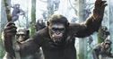 Articol Un nou film Planeta Maimuțelor este în lucru, cu regizorul seriei Maze Runner la cârmă