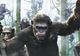 Un nou film Planeta Maimuțelor este în lucru, cu regizorul seriei Maze Runner la cârmă