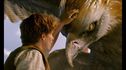 Articol Serialul „Fantastic Beasts: A Natural History” va readuce în atenție animalele fantastice din universul Harry Potter