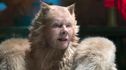 Articol Cats și Rambo: Last Blood, în fruntea nominalizărilor la Zmeura de Aur 2020