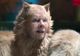 Cats și Rambo: Last Blood, în fruntea nominalizărilor la Zmeura de Aur 2020