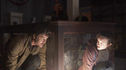 Articol Cât este de real pericolul din serialul distopic The Last of Us pentru omenire